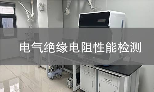 电气绝缘电阻性能检测 电气绝缘电阻性能检测