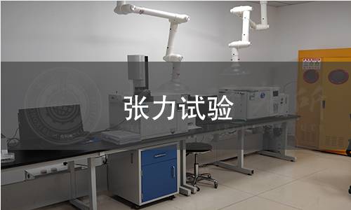 张力试验