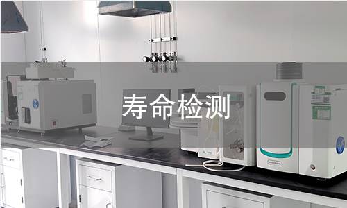 寿命检测 寿命检测