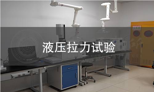 液压拉力试验 液压拉力试验