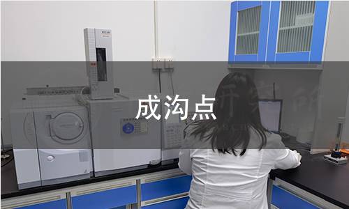 成沟点