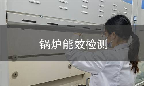 锅炉能效检测