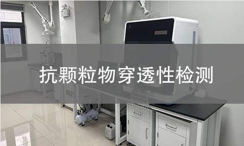抗颗粒物穿透性检测