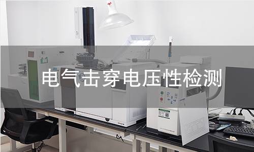 电气击穿电压性检测 电气击穿电压性检测