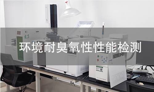 环境耐臭氧性性能检测