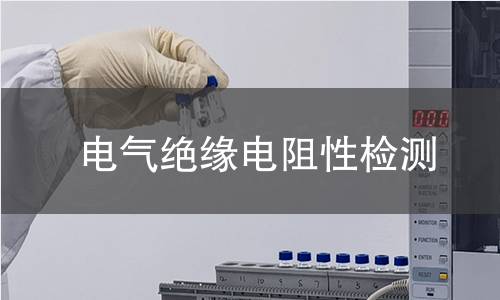 电气绝缘电阻性检测 电气绝缘电阻性检测