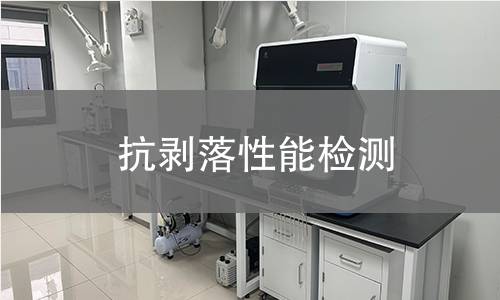 抗剥落性能检测