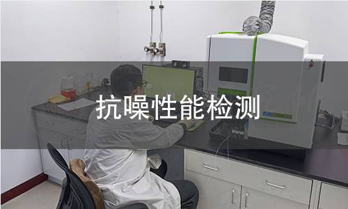 抗噪性能检测