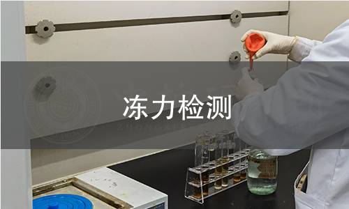 冻力检测 冻力检测