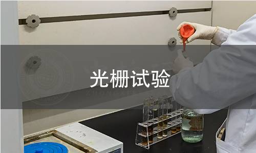 光栅试验 光栅试验