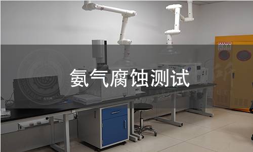 氨气腐蚀测试