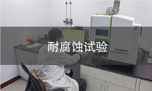 耐腐蚀试验