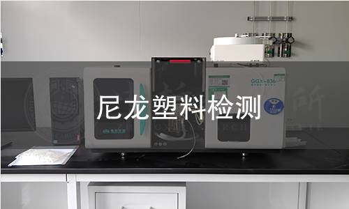 尼龙塑料检测