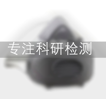 面罩检测报告