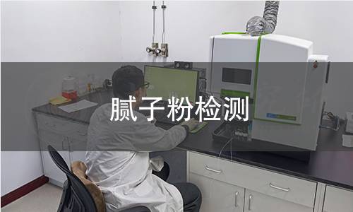 腻子粉检测