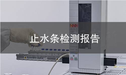 止水条检测报告