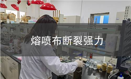 熔喷布断裂强力