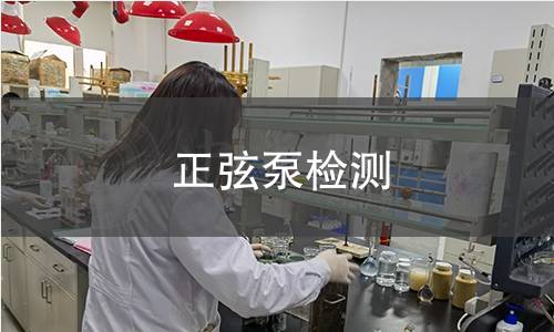 正弦泵检测 正弦泵检测