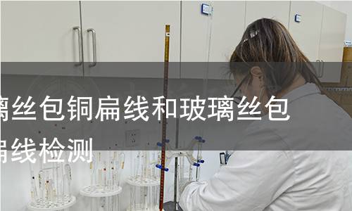 浸漆玻璃丝包铜扁线和玻璃丝包漆包铜扁线检测