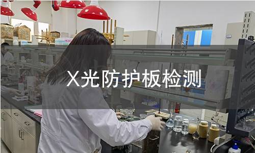 X光防护板检测