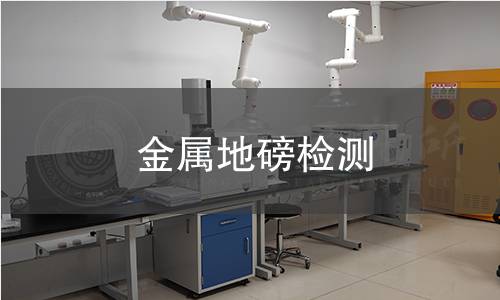 金属地磅检测 金属地磅检测
