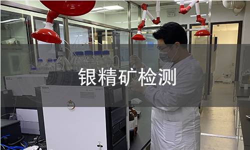银精矿检测 银精矿检测