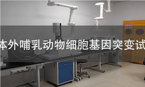 体外哺乳动物细胞基因突变试验