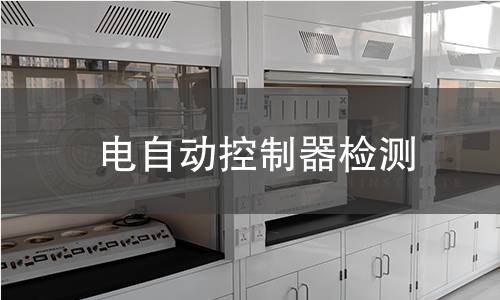 电自动控制器检测