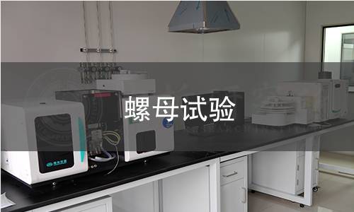 螺母试验 螺母试验