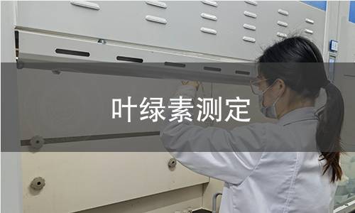 叶绿素测定 叶绿素测定