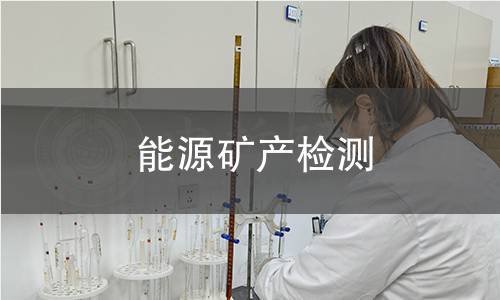 能源矿产检测 能源矿产检测