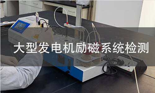 大型发电机励磁系统检测