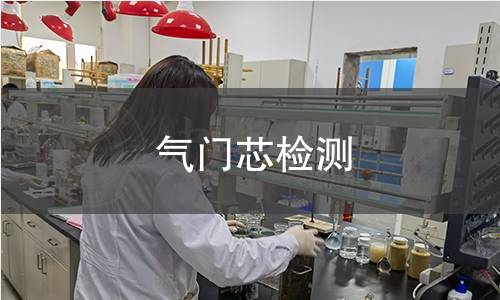 气门芯检测 气门芯检测