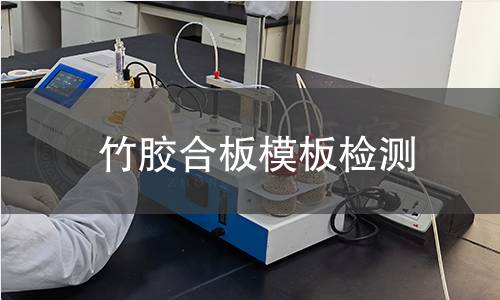 竹胶合板模板检测