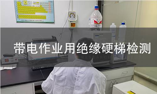 带电作业用绝缘硬梯检测