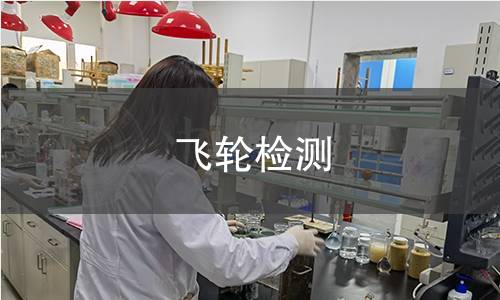 飞轮检测 飞轮检测