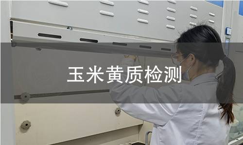玉米黄质检测 玉米黄质检测