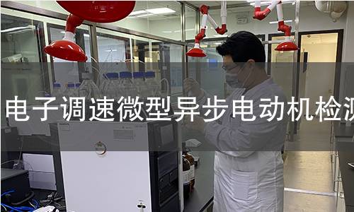 电子调速微型异步电动机检测