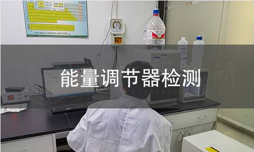 能量调节器检测
