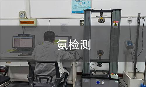 氨检测