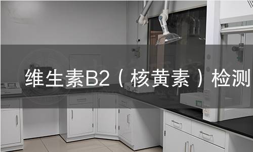 维生素B2（核黄素）检测