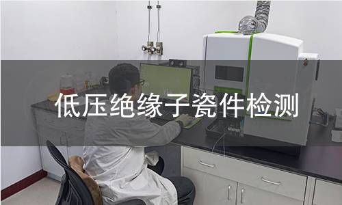 低压绝缘子瓷件检测