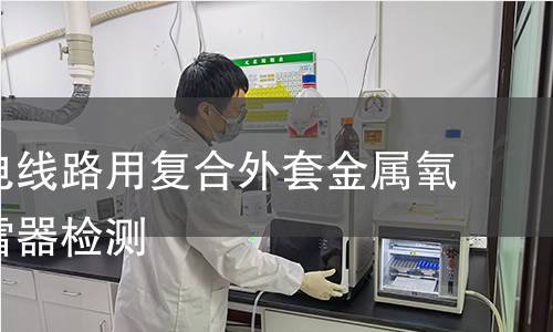 交流输电线路用复合外套金属氧化物避雷器检测