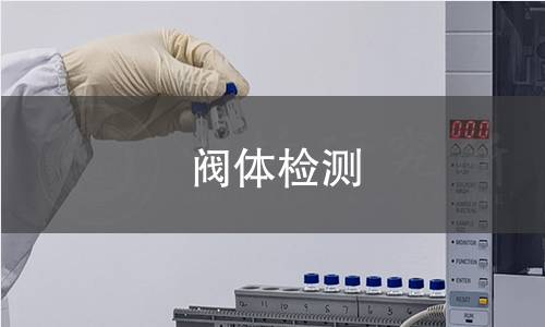 阀体检测 阀体检测
