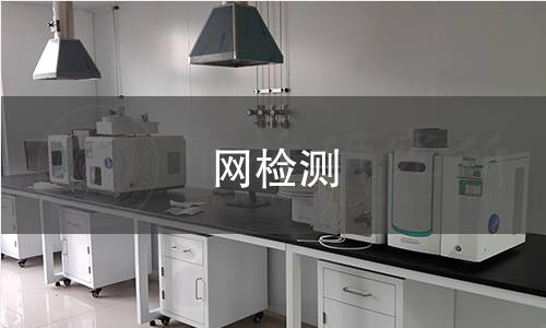 网检测 网检测