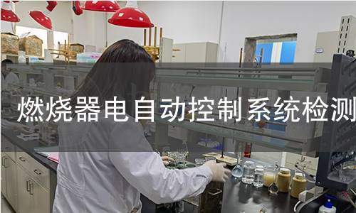 燃烧器电自动控制系统检测