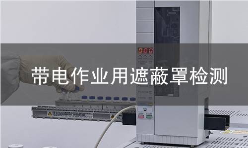 带电作业用遮蔽罩检测