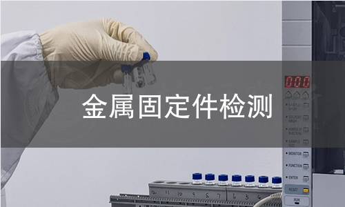 金属固定件检测 金属固定件检测