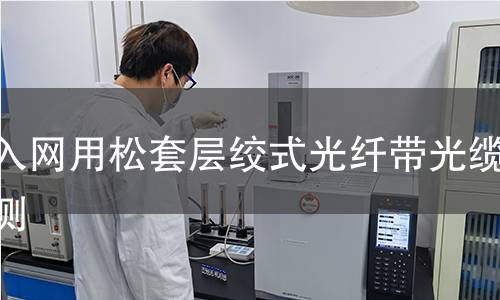 接入网用松套层绞式光纤带光缆检测