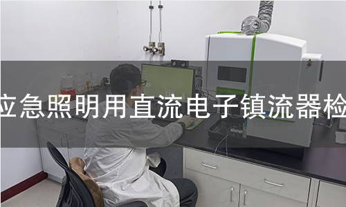 应急照明用直流电子镇流器检测 应急照明用直流电子镇流器检测